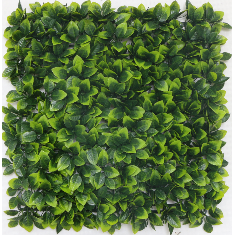 125050_web_1.jpg-800x800-1.png Растения GREEN WALL >> ICNT 125050 - Image 1