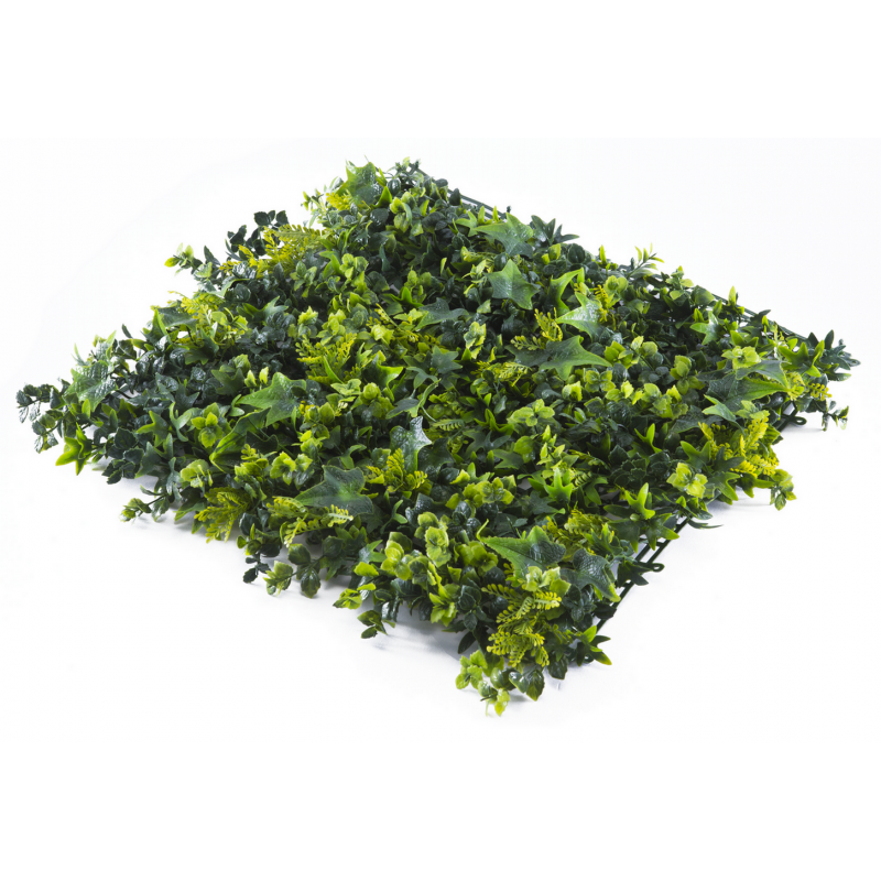 145050_web_1.jpg-800x800-1.png Растения GREEN WALL >> ICNT 145050 - Image 1