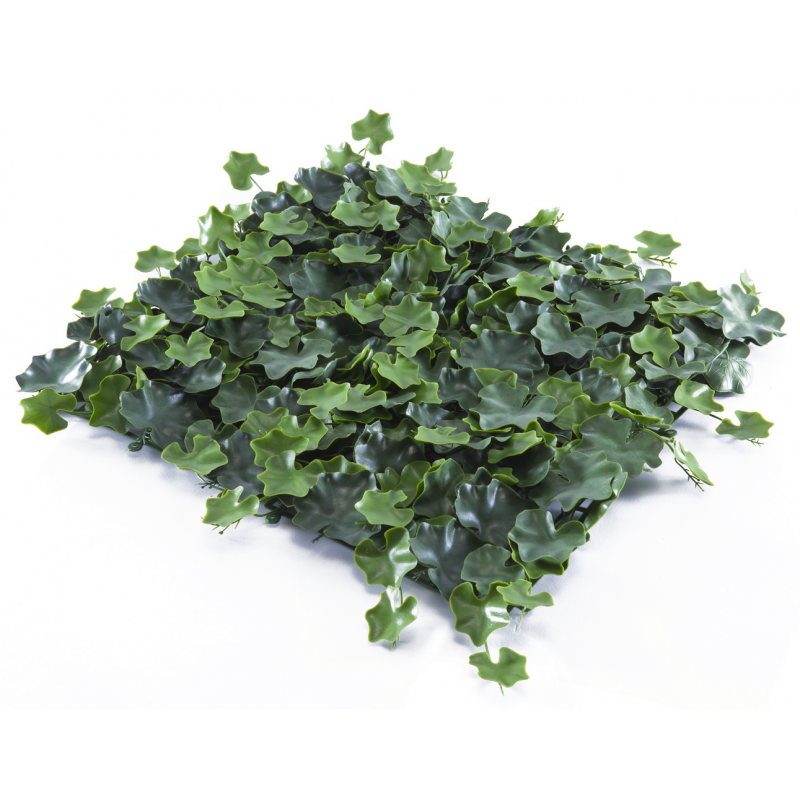 155050_web_1.jpg-800x800-1.png Растения GREEN WALL >> ICNT 155050 - Image 1