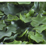 Растения GREEN WALL >> ICNT 155050 - Image 2