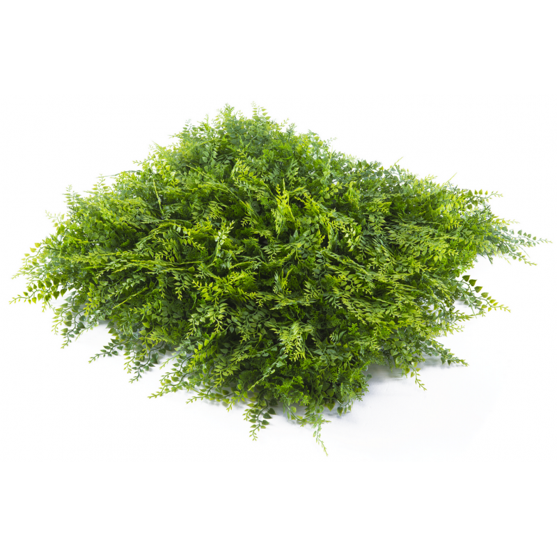 175050_web_1.jpg-800x800-1.png Растения GREEN WALL >> ICNT 175050 - Image 1