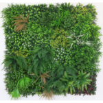 Растения GREEN WALL >> ICNT 18100100