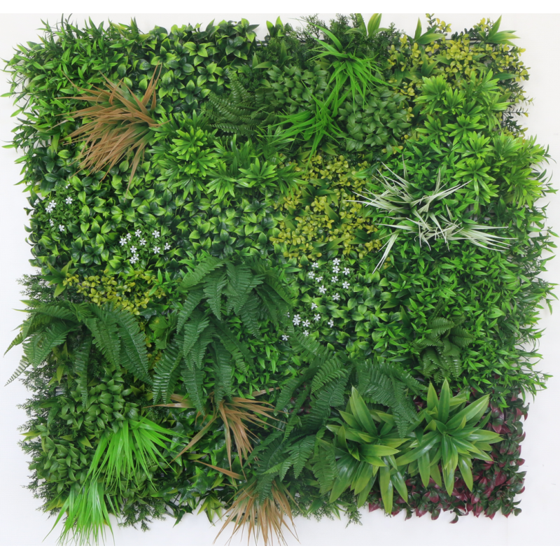 18100100_web_1.jpg-800x800-1.png Растения GREEN WALL >> ICNT 18100100 - Image 1