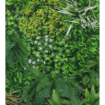 Растения GREEN WALL >> ICNT 18100100 - Image 2
