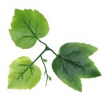 Растения ART DECORATION >> ICNT 187057 - Image 2