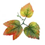 Растения ART DECORATION >> ICNT 187058 - Image 2