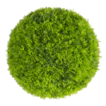Растения GREEN NATURE>> ICNT 190038