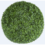 Растения GREEN NATURE>> ICNT 190039