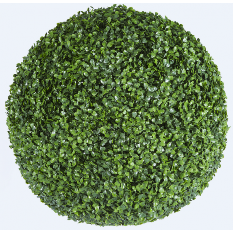 190039_web_1.jpg-800x800-1.png Растения GREEN NATURE>> ICNT 190039 - Image 1