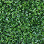 Растения GREEN NATURE>> ICNT 190039 - Image 2