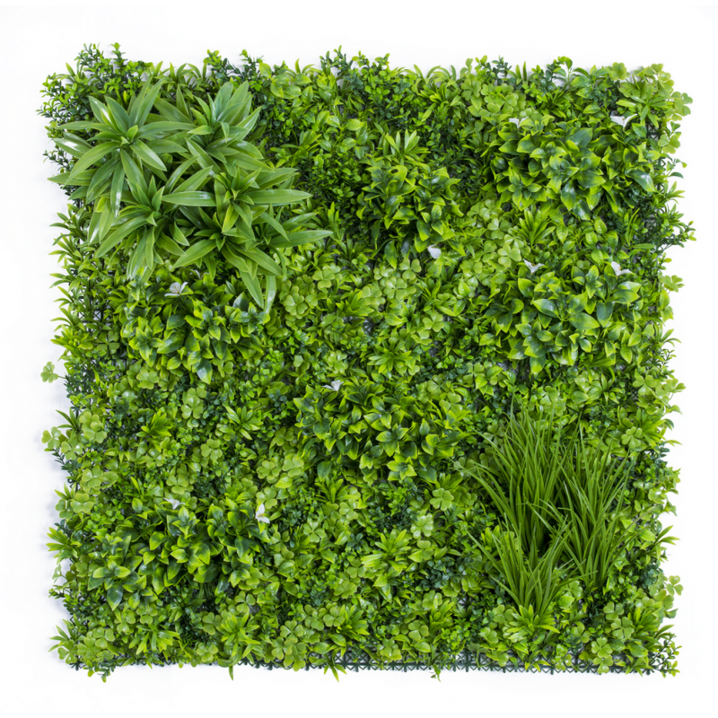 19100100_web_1.jpg-800x800-1.png Растения GREEN WALL >> ICNT 19100100 - Image 1