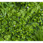 Растения GREEN WALL >> ICNT 19100100 - Image 2