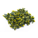 Растения GREEN WALL >> ICNT 195050
