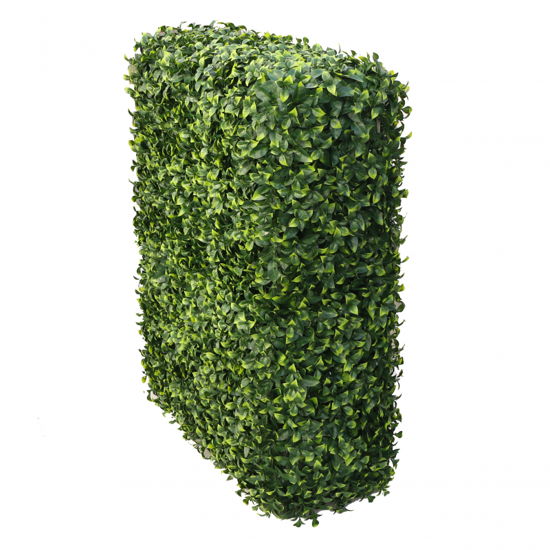 197525_web_1.jpg-800x800-1.png Растения GREEN WALL >> ICNT 197525 - Image 1