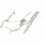 ГРАНИТОГРЕС 60/120 CARRARA WHITE - VARMORA - INDIA - Image 2
